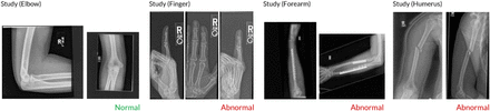 Figure 1: