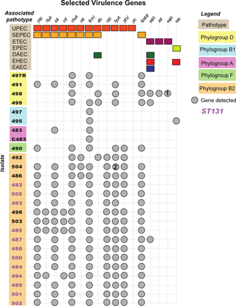 Figure 2: