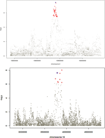 Supplementary Figure 3.