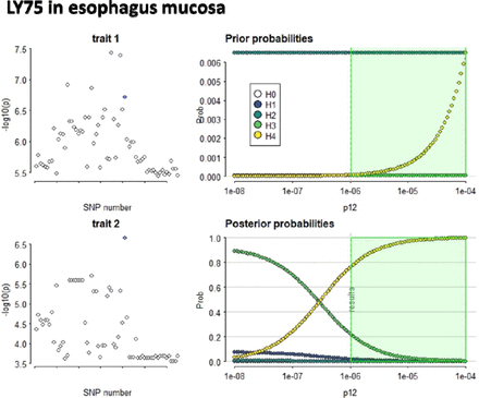 Supplementary Figure 4.