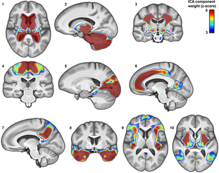 Supplementary Figure 6.