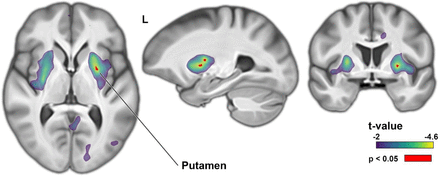Supplementary Figure 8.