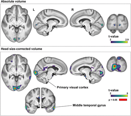 Supplementary Figure 3.