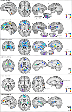Supplementary Figure 4.