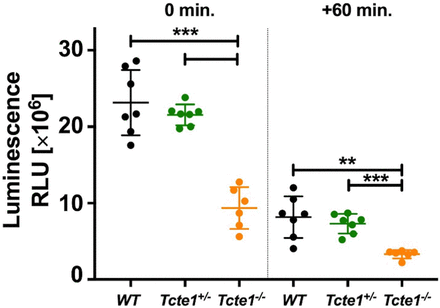 Figure 10: