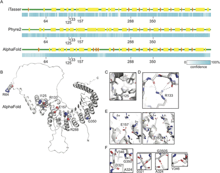 Figure 12: