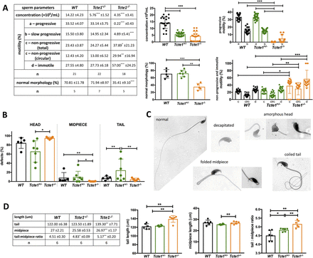 Figure 6: