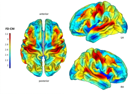 Figure 2: