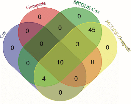Fig.12.