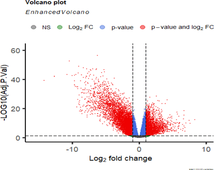 Fig.3.