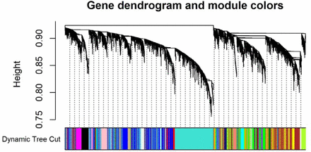 Fig.6.