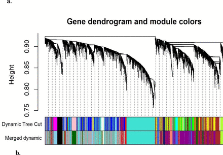 Fig.7.