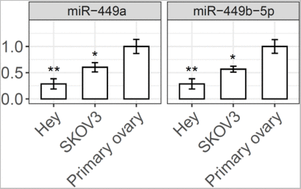 Suppl. Figure 4.
