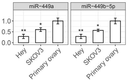 Suppl. Figure 4.