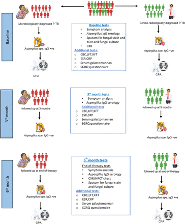 Figure 1: