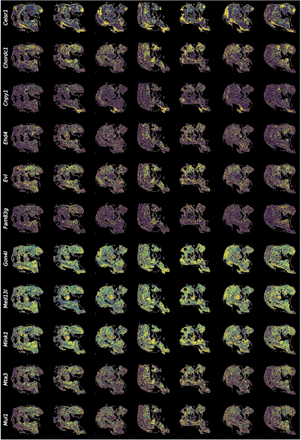 Extended Data Figure 4.