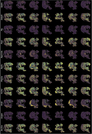 Extended Data Figure 4.
