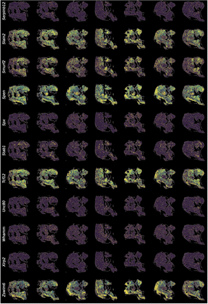 Extended Data Figure 4.
