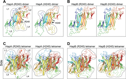 Figure 3: