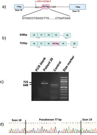 Figure 1: