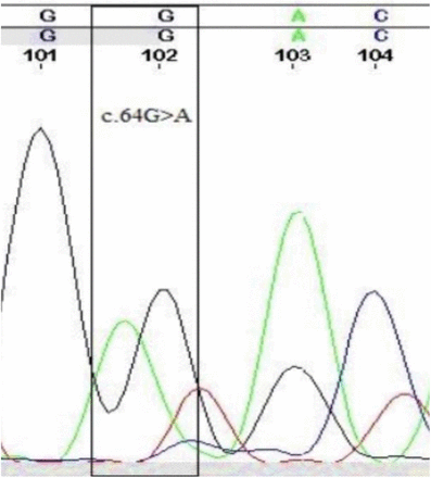 Figure 2: