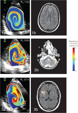 FIGURE 3: