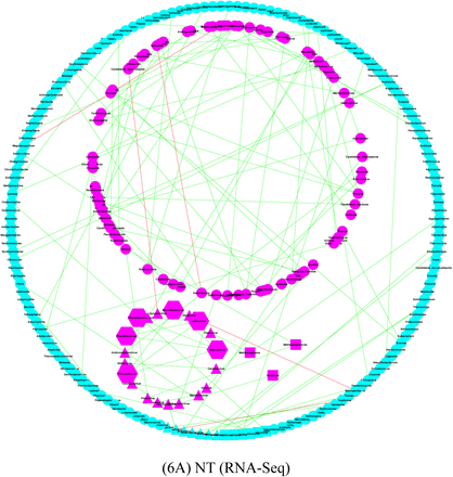Fig 6.