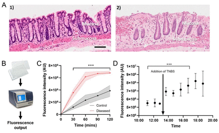 Figure 4: