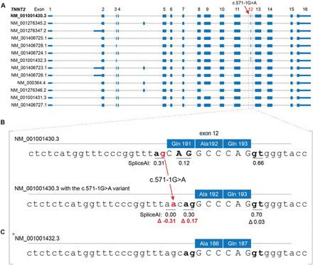 Figure 1: