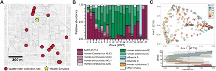 Figure 1: