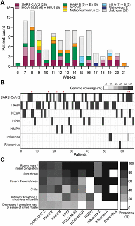Figure 2: