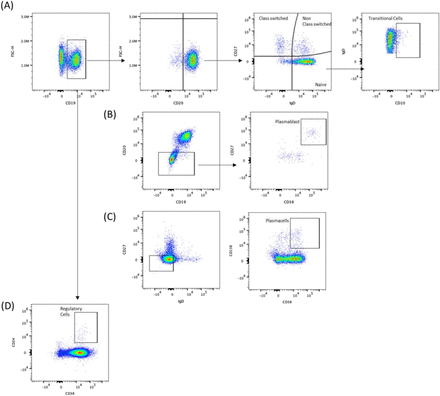 Supplementary figure 4.
