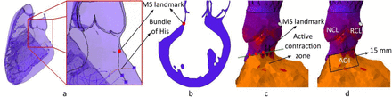 Figure 5: