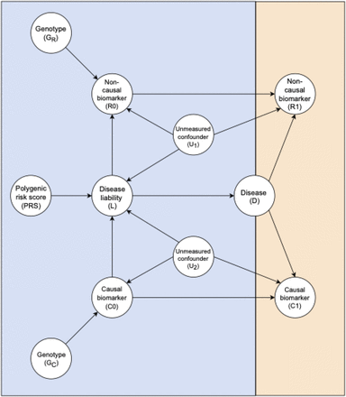 Figure 1: