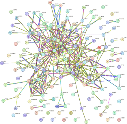 Figure 5: