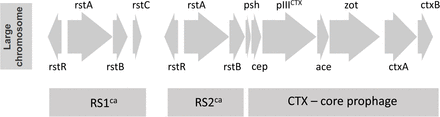 Figure 3A.