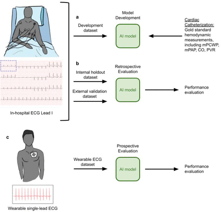 Figure 1: