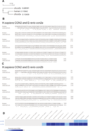 Figure 5: