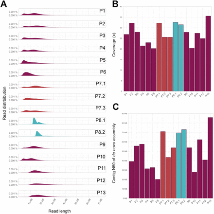 Figure 1: