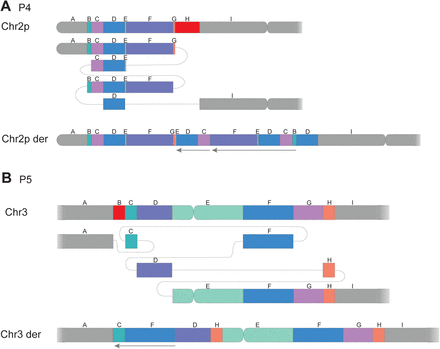 Figure 3: