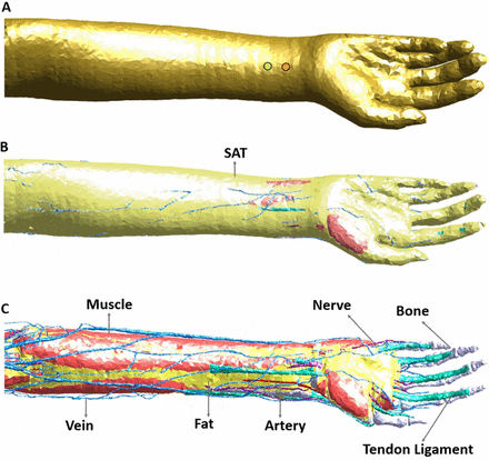 Figure 1: