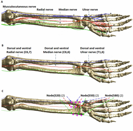 Figure 2.