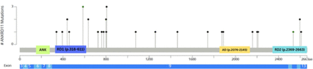 Fig 2.