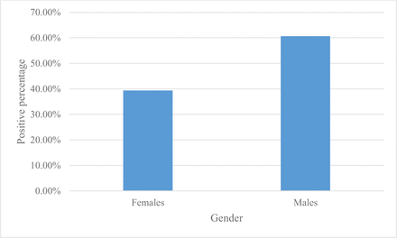 Figure 4.1: