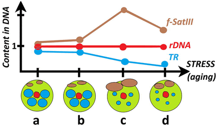 Figure 8.