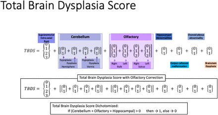 Supplemental Figure 1.