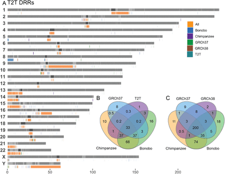 Fig 4: