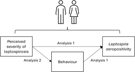 Figure 3: