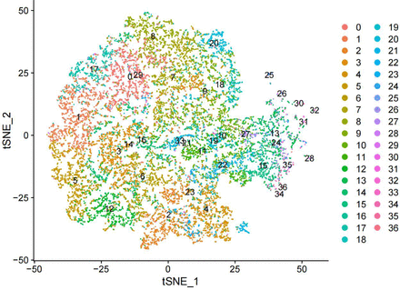 Supplementary Figure S1.