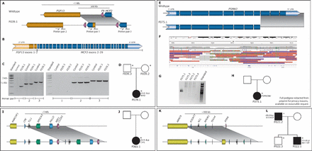 Figure 6: